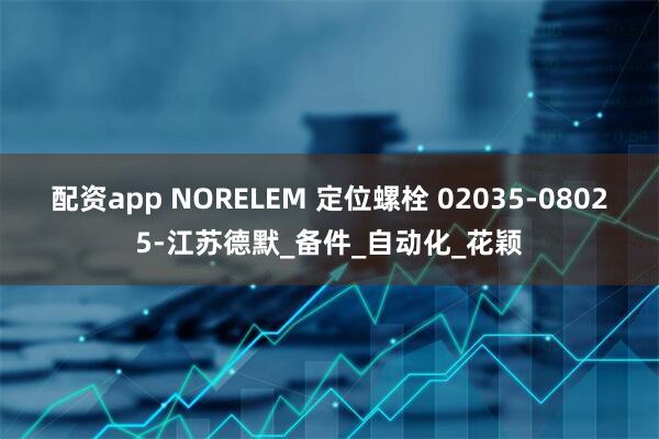配资app NORELEM 定位螺栓 02035-08025-江苏德默_备件_自动化_花颖