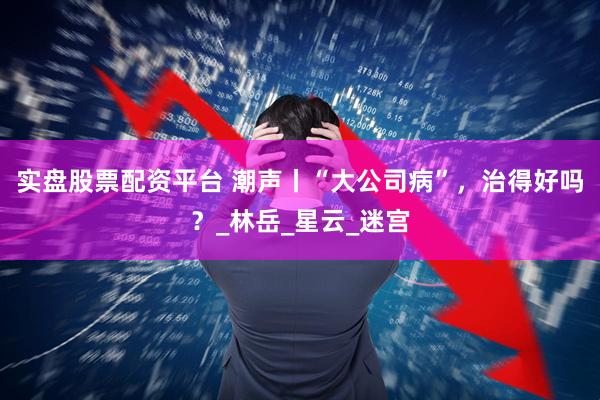 实盘股票配资平台 潮声丨“大公司病”，治得好吗？_林岳_星云_迷宫