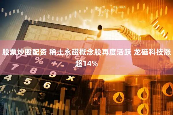 股票炒股配资 稀土永磁概念股再度活跃 龙磁科技涨超14%